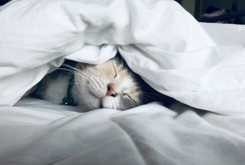 image_1758497351.png