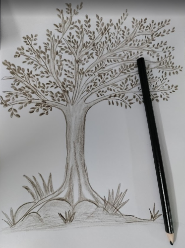 image_1759904782.png