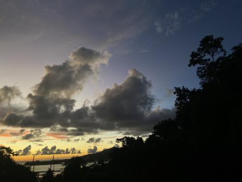 img-1093_1692270147.jpeg
