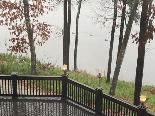 img-1099_1703543118.jpeg