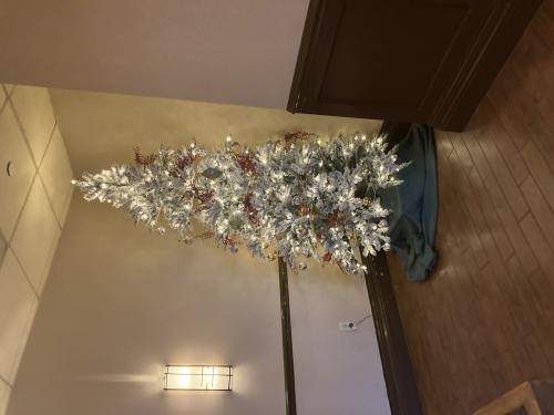 img-1101_1703543180.jpeg