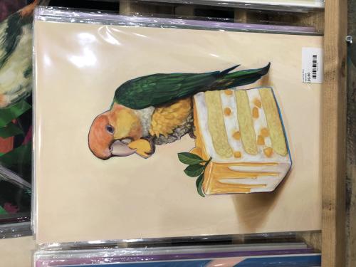 img-1799_1684502800.jpeg