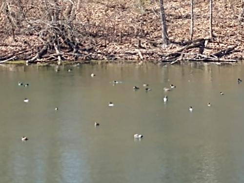 img-20230319-141500262_1681061770.jpg