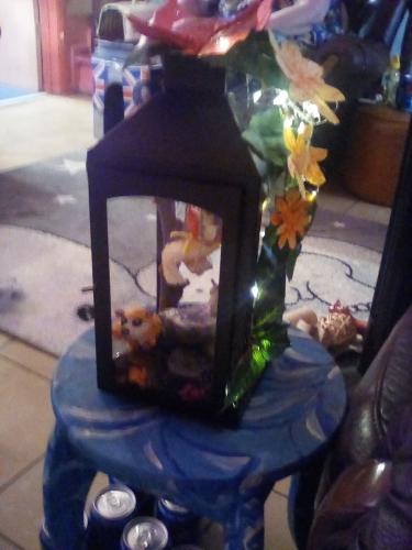 img-20230514-083136_1713508575.jpg