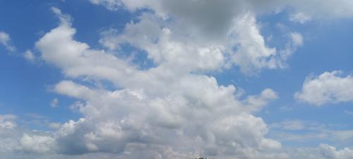 img-20230725-135047_1692179955.jpg