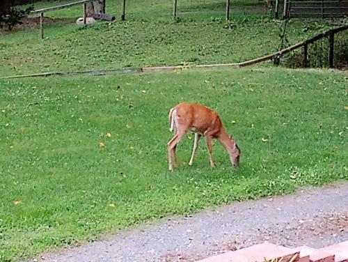 img-20230727-202257908_1698892680.jpg