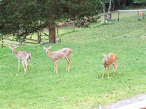 img-20230825-192126861_1698892766.jpg