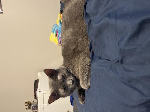 img-2126_1692791088.jpeg