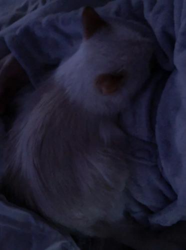 img-4521_1711478965.jpeg