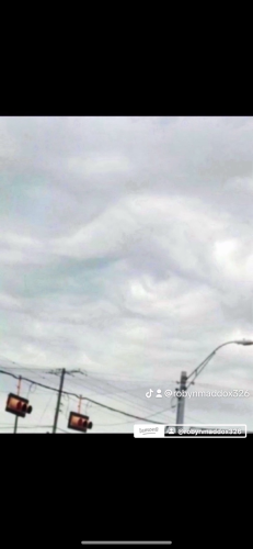 img-5392_1750436412.png
