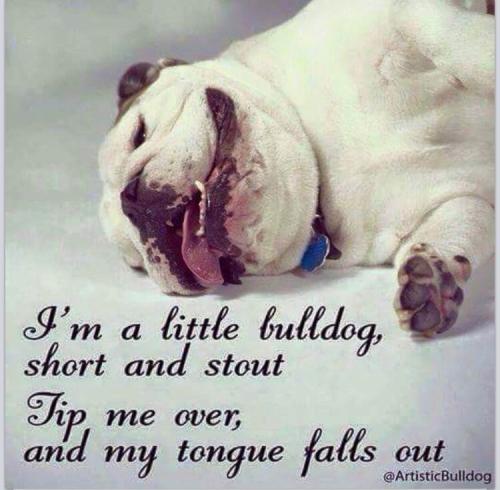 img-5893_1752779392.jpeg