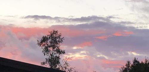 img-6540_1722452443.jpeg