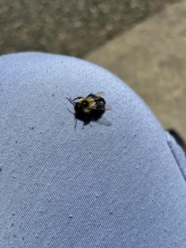 img-6905_1759421814.jpeg