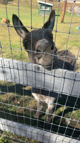 img-6910_1759448420.jpeg