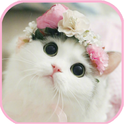 img-7151_1710493606.png