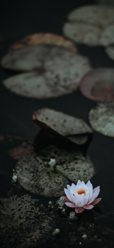 img-7247_1708346051.png