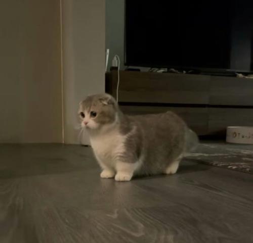 img-7406_1710493654.jpeg