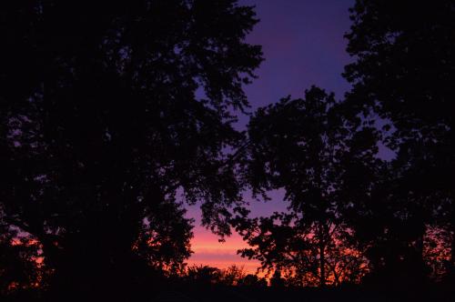 img-7614_1700441199.jpg