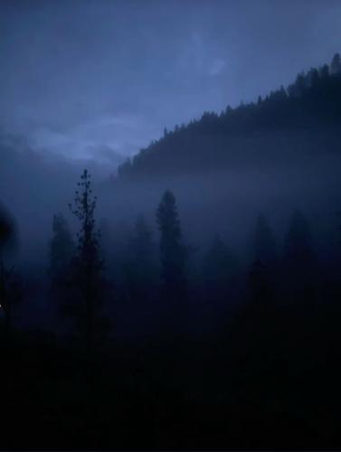 img-7956_1746337712.jpeg