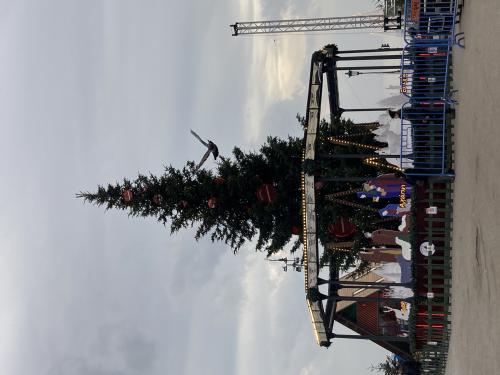 img-9470_1703587654.jpeg