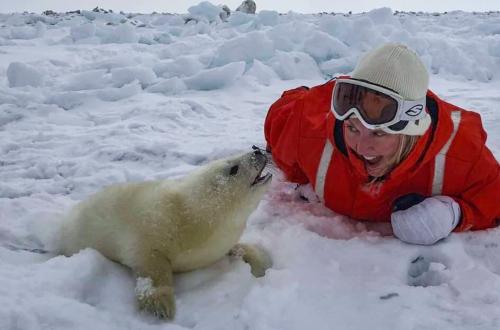 intro-sealtourism-jonaa-atandrea-king-2_1691464295.jpg