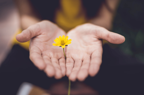 lina-trochez-ktpkyus3qjs-unsplash_1691552578.png