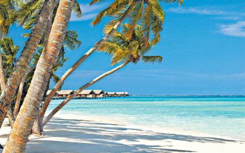 maldives-2786157a_1721713832.jpg