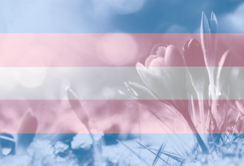 march-31-2023-transc3_1679953958.png