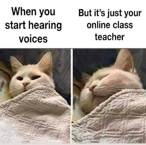 meme_1714692297.jpg