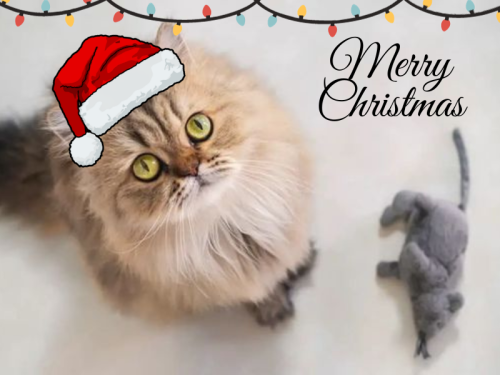 merry-christmas_1703367808.png