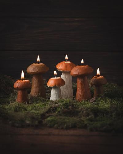 mushroom-candles-mushroom-decoration-autumn-decor-home-decor-beeswax-candles-gift-for-mom-gift-for-friend-forest-candle_1722962063.jpeg