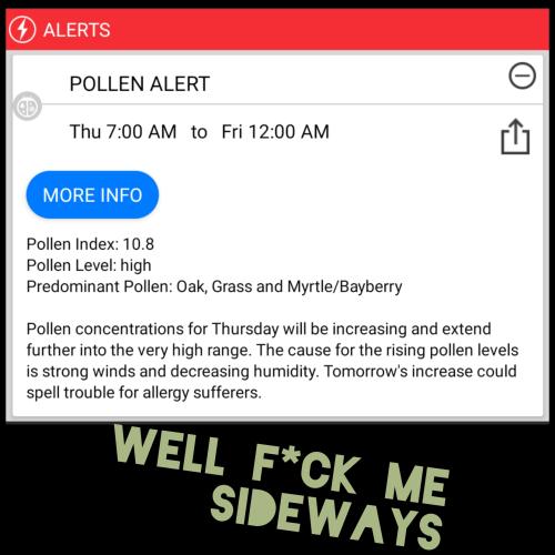 pollenalert_1741247273.jpg