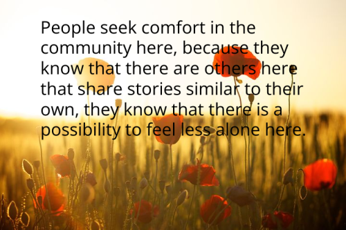 poppies-174276-480_1681181200.png