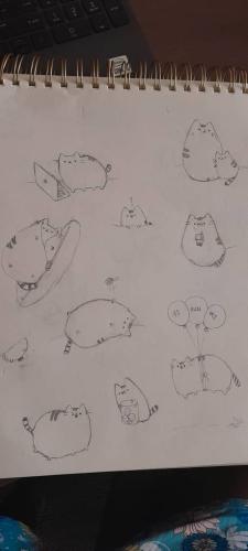 pusheen-drawing_1724261321.jpg