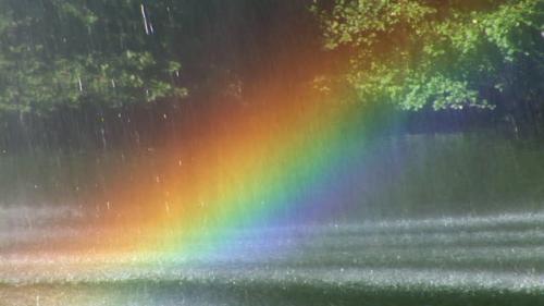 rain-rainbow_1691410519.jpg