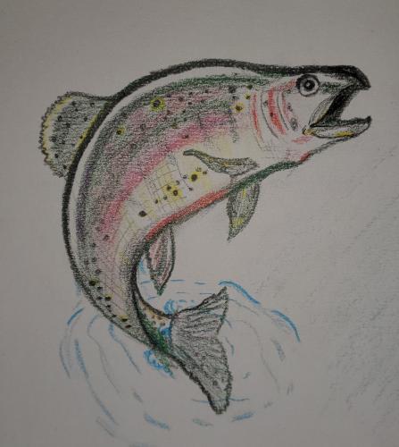 rainboww_1692840992.jpg