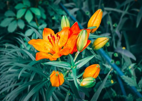 river-fx-riz9xw1ompe-unsplash_1675524010.jpg