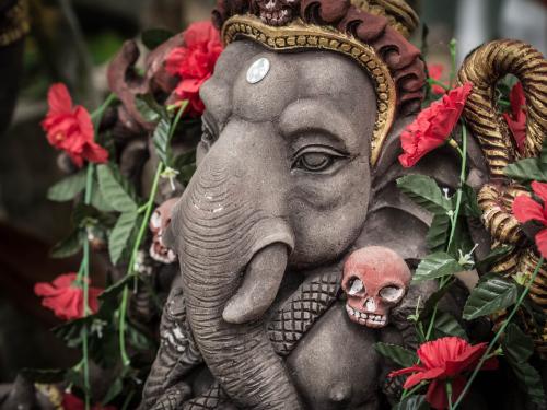 rob-king-41ngociaus4-unsplash_1678409447.jpg