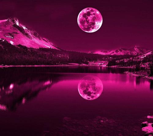 romantic-neon-moon-hr484v2bxx7c85op_1746196251.jpg