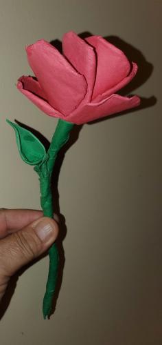 rose-2_1740067027.jpg