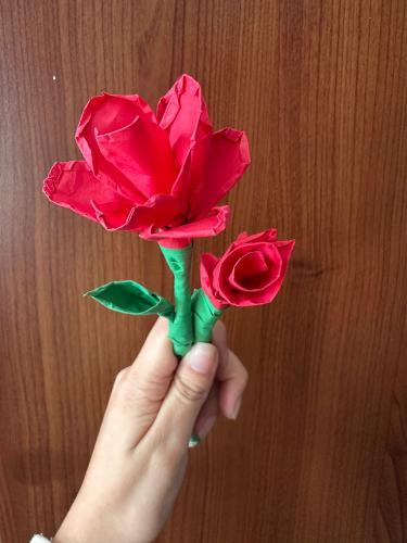 rose-bud-2_1740067038.jpeg
