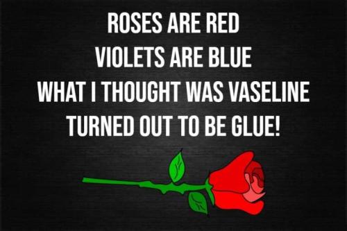roses-are-red-poems-768x512_1738645502.jpg