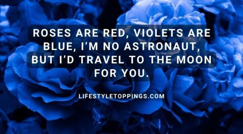 roses-are-red-violets-are-blue-funny-jokes-2_1738558341.jpg