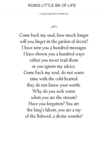 rumi_1696920425.png