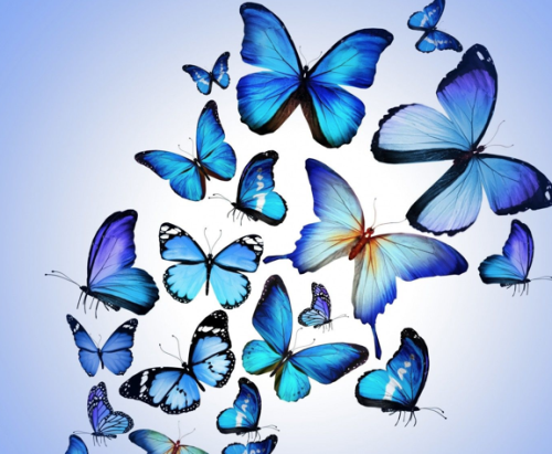 screen-shot-2023-05-01-at-9-35-58-am_1682948204.png