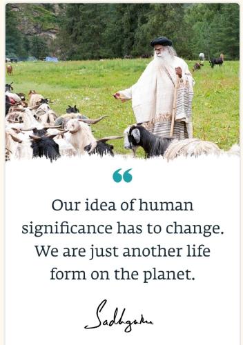 screenshot-2022-09-15-00-41-04-658-com-ishafoundation_1663183921.app.jpg