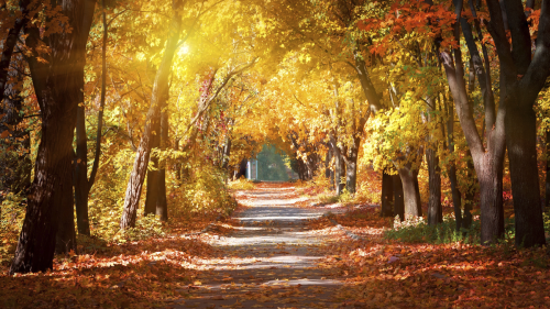 september-equinox-facts-jpg_1694164890.png