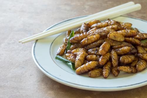 silkworms_1702014138.jpg