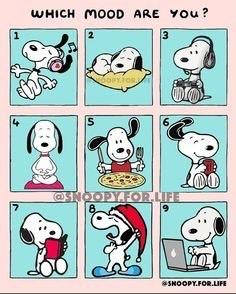 snoopy_1682054076.jpg
