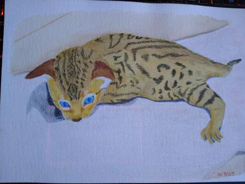 tifawatercolour_1742352244.jpg